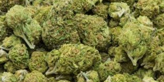 five-kilogram-marijuana-confiscated